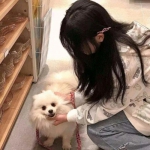 acfun游戏超进化物语下载